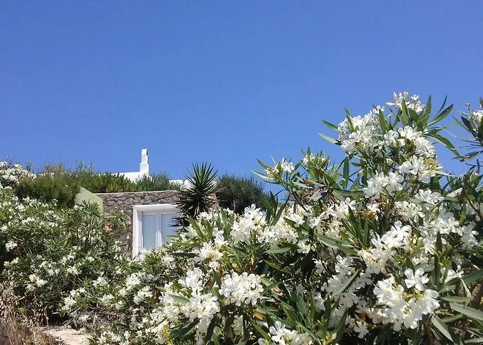 Appartement Mykonos Nest
