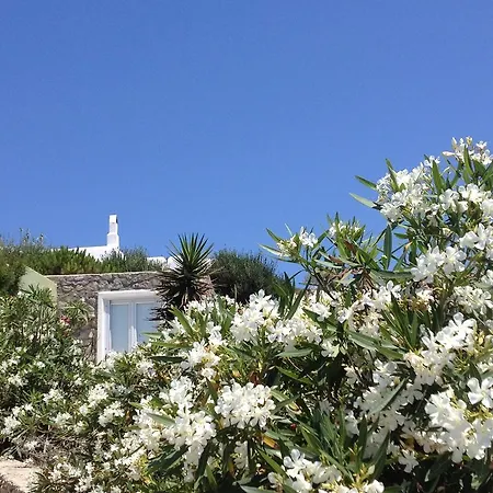 아파트 Mykonos Nest